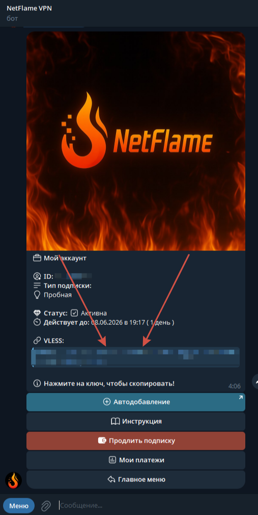 Расположение VLESS-ключа в Telegram-боте NetFlame VPN